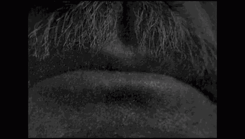 Trump Witchhunt GIF