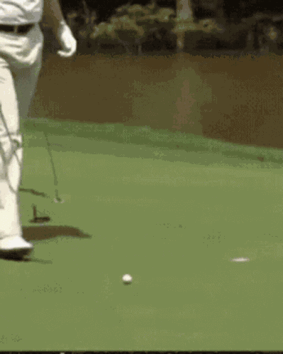 Trump GIF