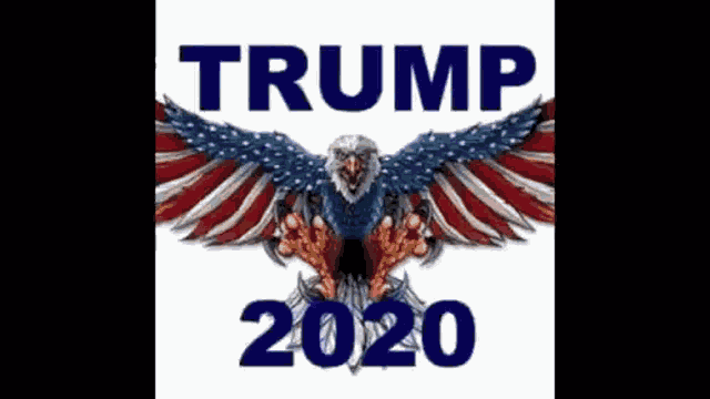 Trump2020 Patrioticparade GIF