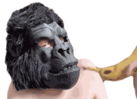 Trying To Eat The Banana Ricky Berwick Sticker