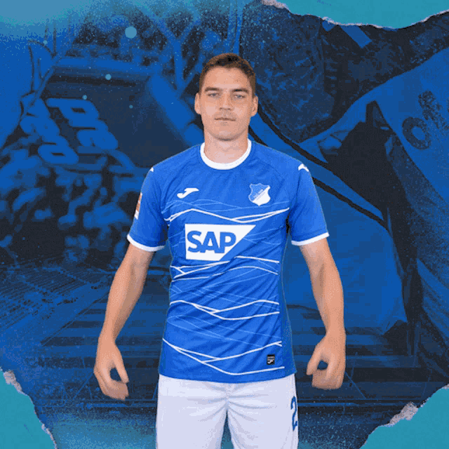 Tsg Hoffenheim Bundesliga GIF