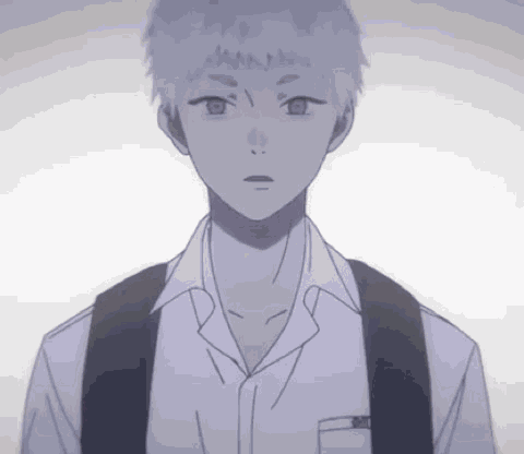 Tshd The Summer Hikaru Died GIF