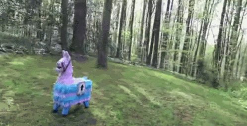 Tu Cuando GIF