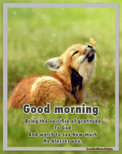 Tuesday Blessings GIF