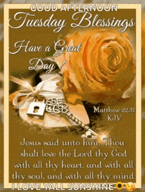 Tuesday Blessings GIF