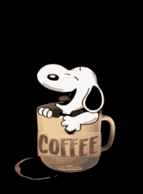 Tuesday Coffee GIF