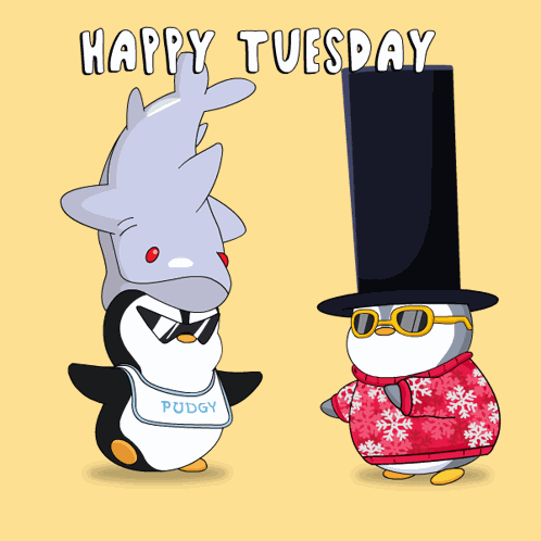 Tuesday Happy Tuesday GIF