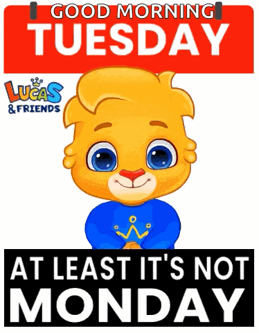 Tuesday Its Tuesday GIF
