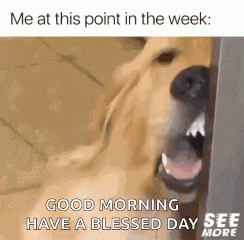 Tuesday Its GIF