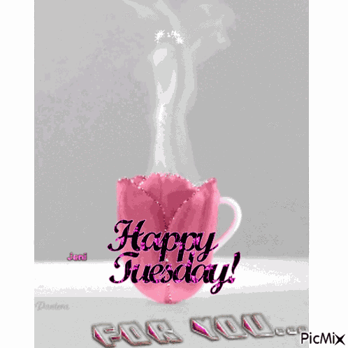 Tuesday GIF