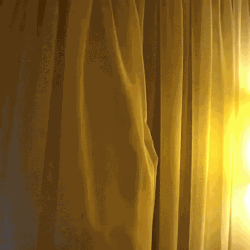 Tulla Curtain Tulla Peakaboo GIF