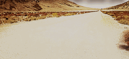 Tumbleweed Desert GIF