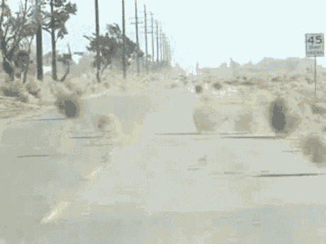 Tumbleweed Dust GIF
