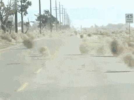 Tumbleweed Dust GIF