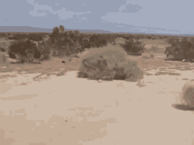 Tumbleweed Silence GIF