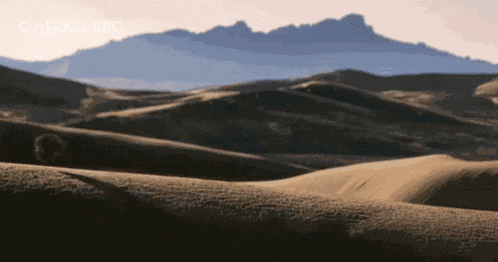 Tumbleweed GIF