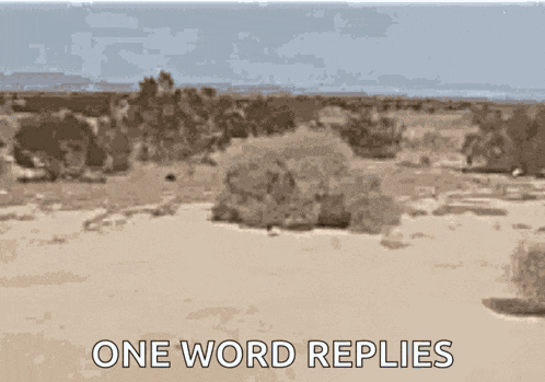 Tumbleweeds Desert GIF