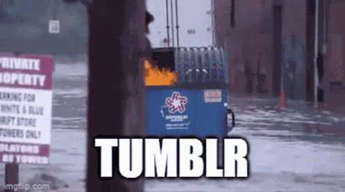 Tumblr Dumpster Fire GIF