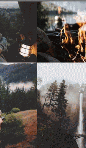 Tumblr Facebook GIF