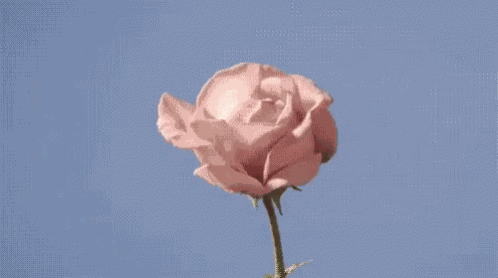 Tumblr Pastel GIF