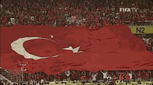 Turk Bayrak Adamsin Oglum GIF