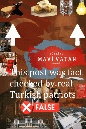 Turkey Fact Check Turkey Fact Check False GIF