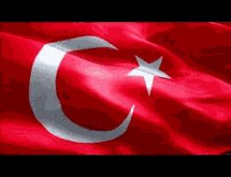 Turkey Flag Turkish GIF