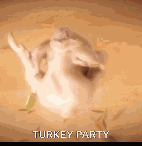 Turkey GIF