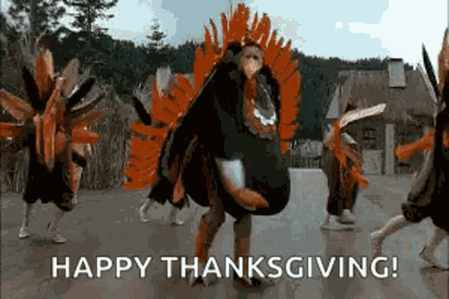 Turkey Thanksgiving GIF