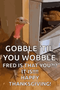 Turkey Thanksgiving GIF