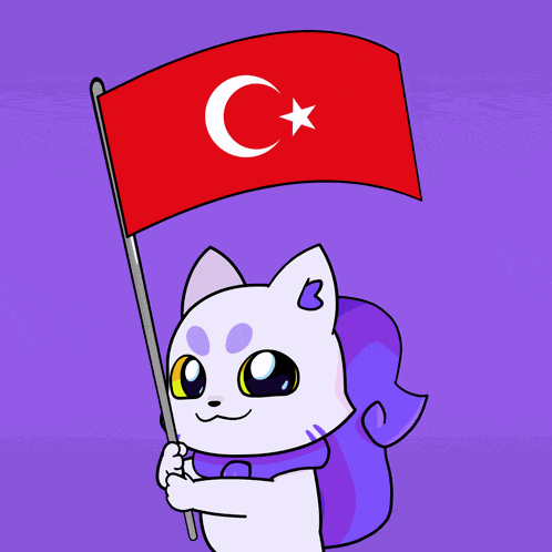 Turkey Tur GIF