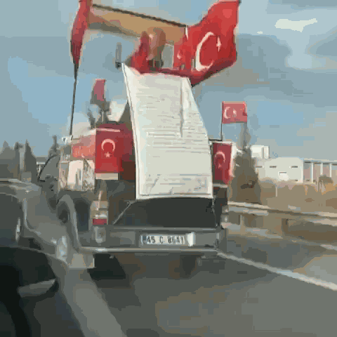 Turkey Turkey Flag GIF