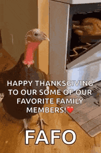 Turkey Turkey Looking At Friend GIF