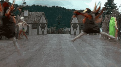Turkey Turkeys GIF
