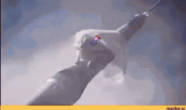 Turkey Turkeyverse GIF