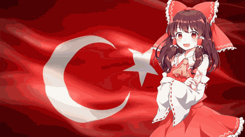 Turkey Turkish GIF