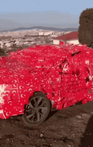 Turkey Turkiye GIF