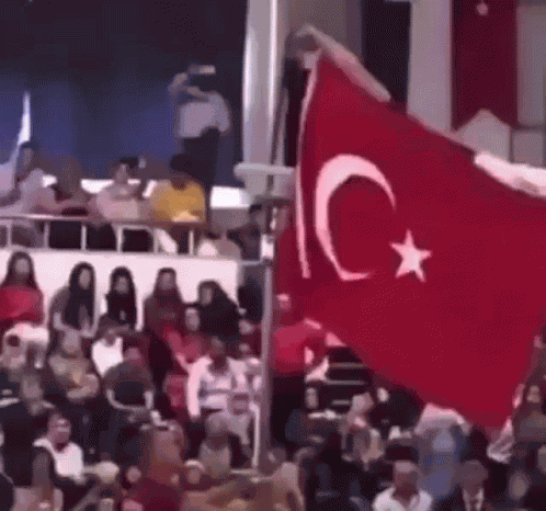 Turkish Nationalism GIF