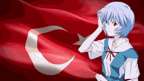 Turkish Rei Rei Ayanami GIF