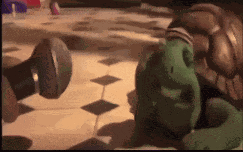 Turtle Being Interviewed Not Knowing What To Say Nosolohit GIF