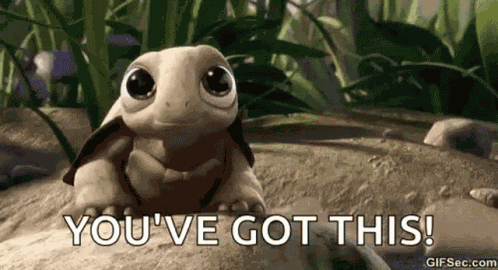 Turtle Cute GIF