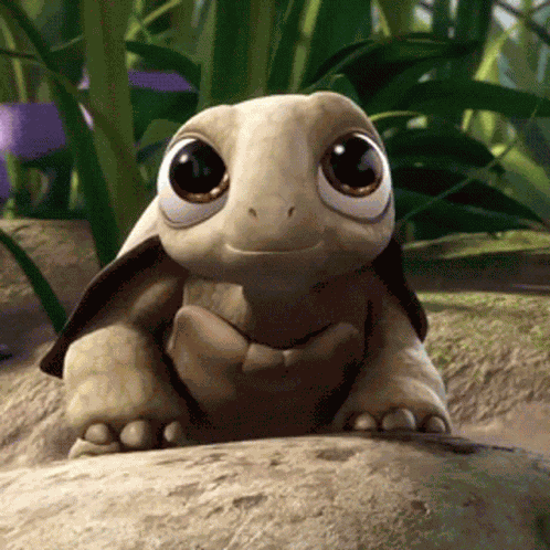 Turtle Cute GIF