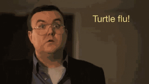 Turtle Flu GIF