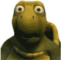 Turtle Huh Meme Sticker