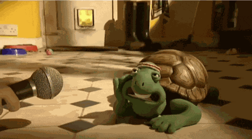 Turtle Slow GIF