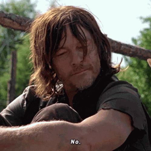 Twd Daryl Norman Reedus GIF
