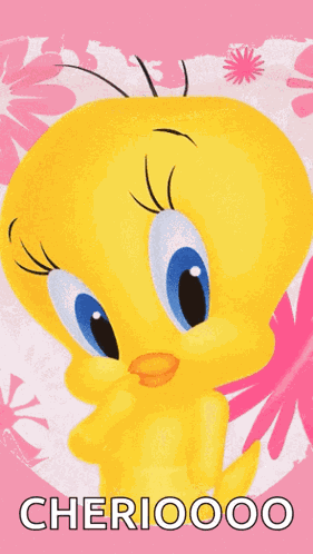 Tweety Bird Cute GIF