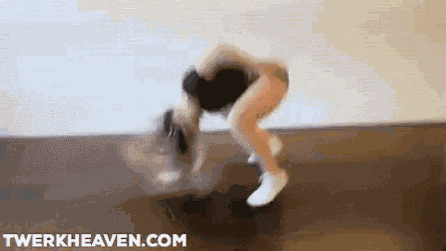 Twerk Twerking GIF