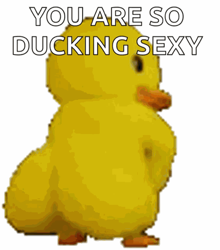 Twerken Duck GIF
