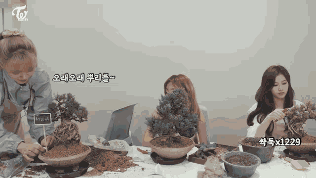 Twice Tv Home Gardening GIF